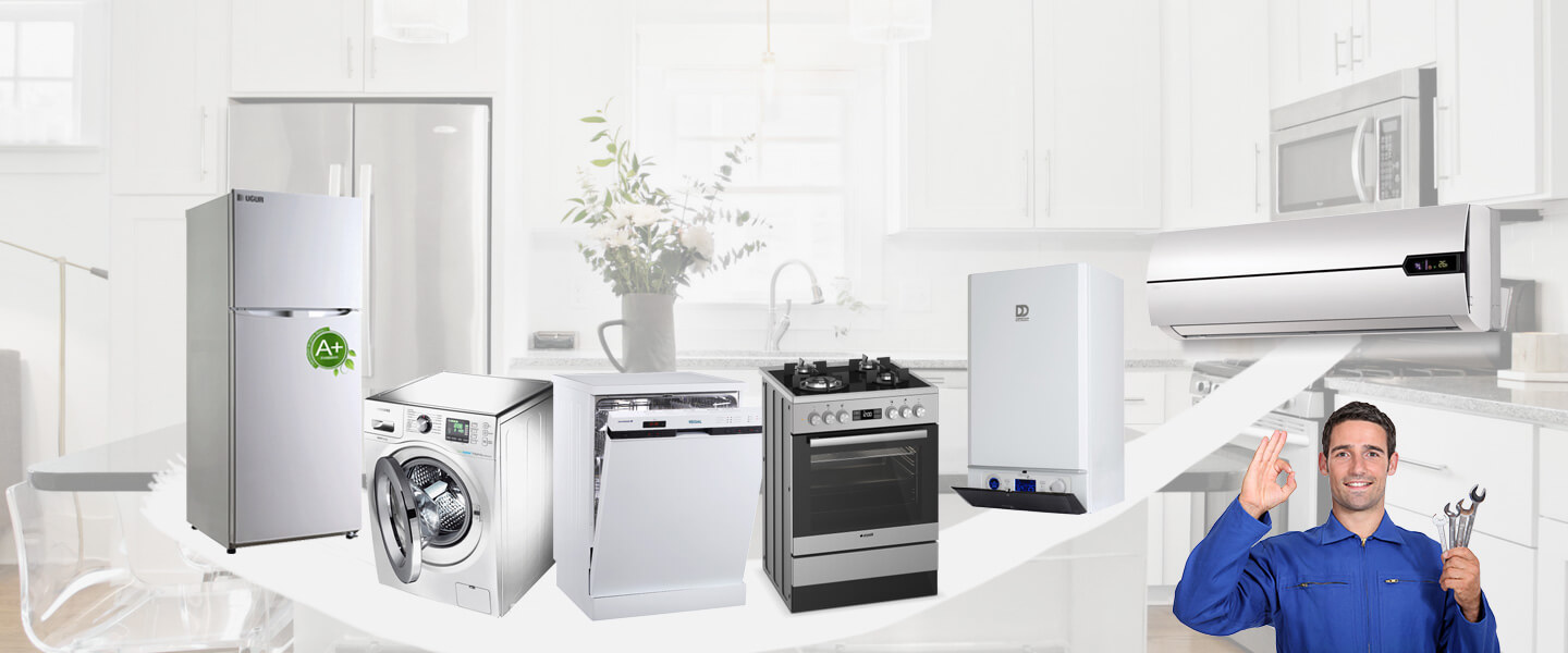 Mudurnu Electrolux Servisi
